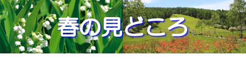 富士見パノバナー②