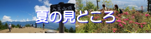 富士見パノバナー③