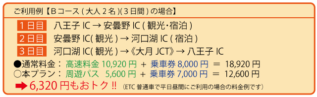 利用例