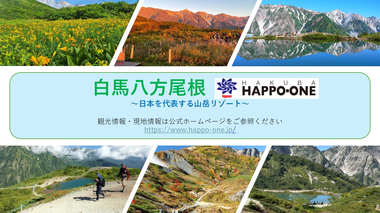 白馬八方尾根公式HP